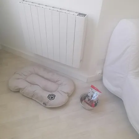 Cozy Duplex En Rdc Hyper Centre Gare Circuit Des 24h