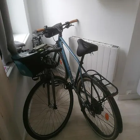 Cozy Duplex En Rdc Hyper Centre Gare Circuit Des 24h * ルマン