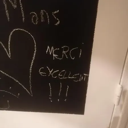 Cozy Duplex En Rdc Hyper Centre Gare Circuit Des 24h Apartment
