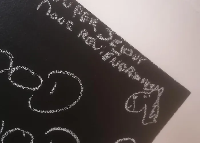 Cozy Duplex En Rdc Hyper Centre Gare Circuit Des 24h شقة