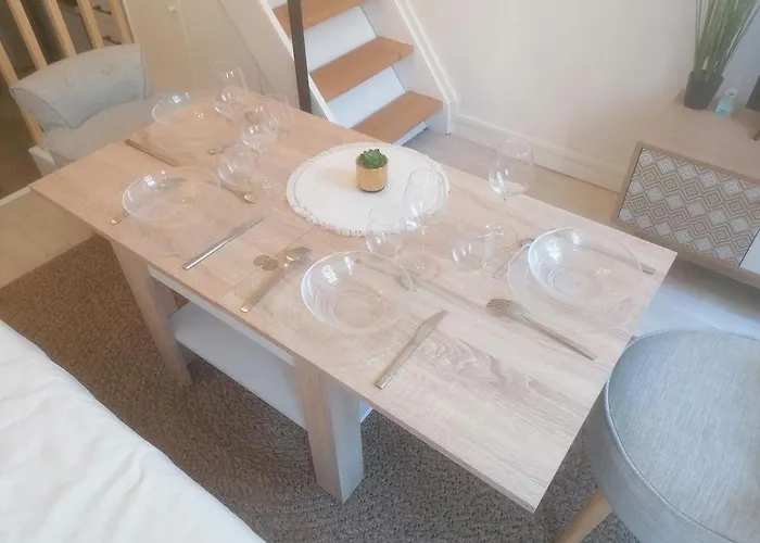 Cozy Duplex En Rdc Hyper Centre Gare Circuit Des 24h شقة لو مان