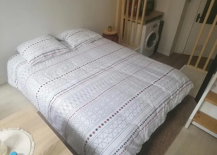 شقة Cozy Duplex En Rdc Hyper Centre Gare Circuit Des 24h لو مان