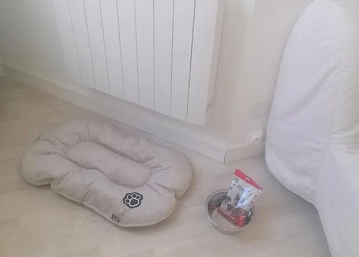 Cozy Duplex En Rdc Hyper Centre Gare Circuit Des 24h