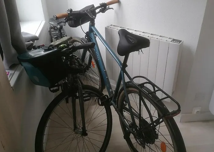 Cozy Duplex En Rdc Hyper Centre Gare Circuit Des 24h * لو مان