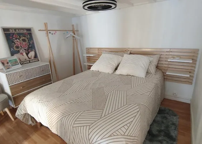 Cozy Duplex En Rdc Hyper Centre Gare Circuit Des 24h شقة